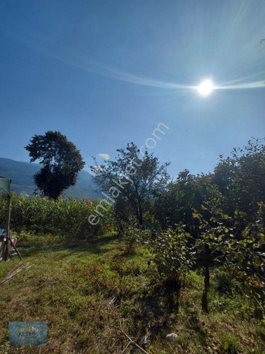 1000 Mt2 Arsa İçinde 120 Mt2 Müstakil Ev — fotoğraf 35