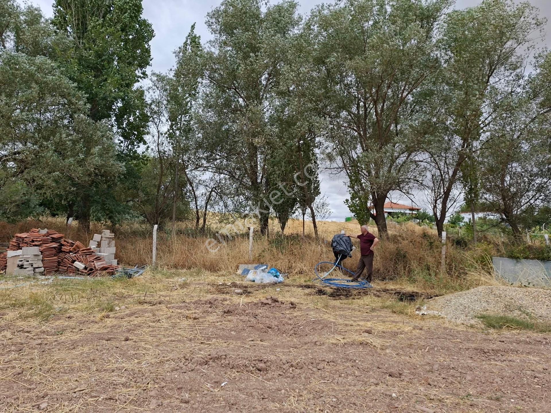 Harika Yatırımlık Geleceği Olan 50 Baş Mandıraya Uygun Elektrikli Kombi Isıtmalı Güzel Yer — fotoğraf 4
