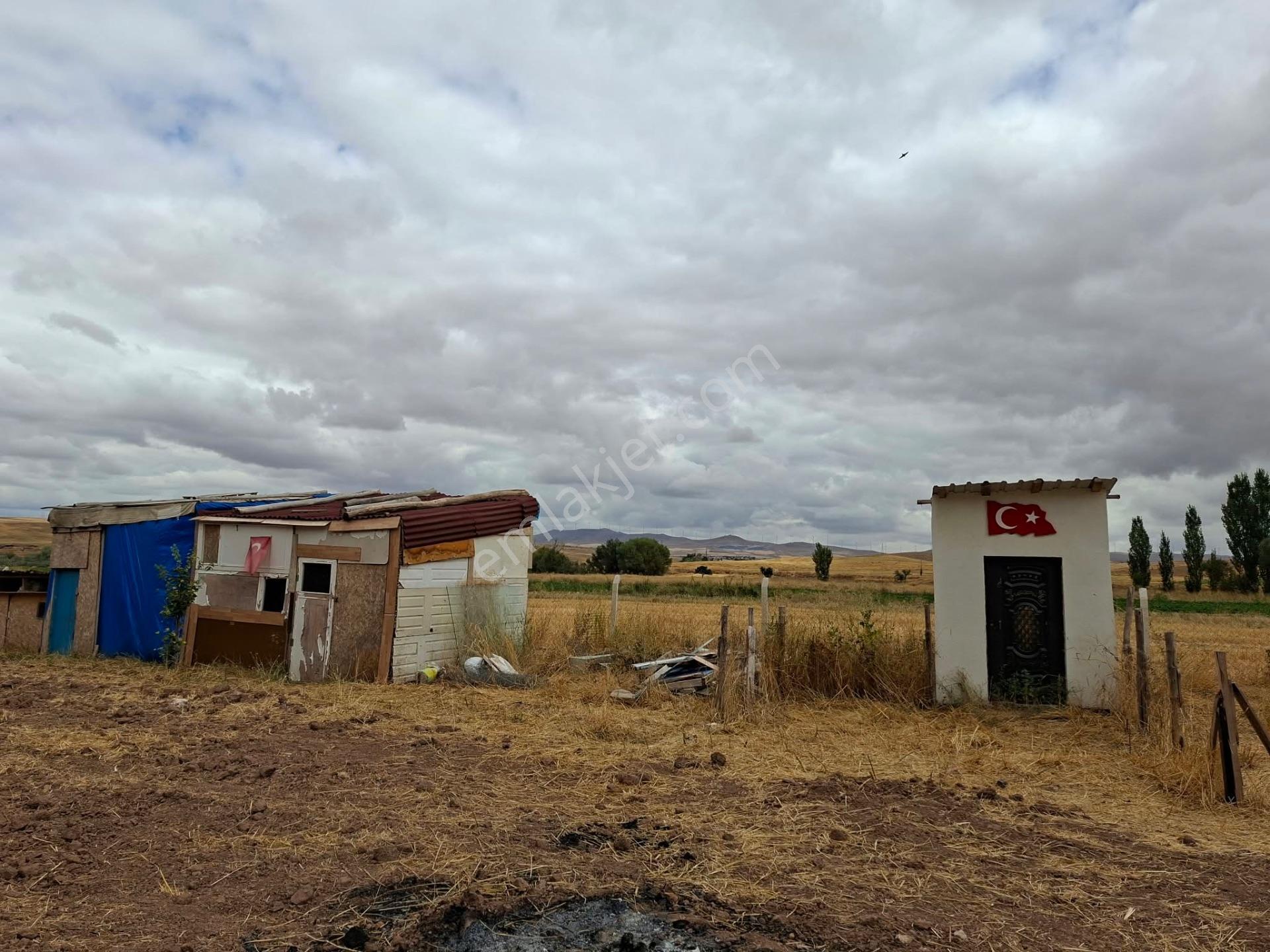 Harika Yatırımlık Geleceği Olan 50 Baş Mandıraya Uygun Elektrikli Kombi Isıtmalı Güzel Yer — fotoğraf 5