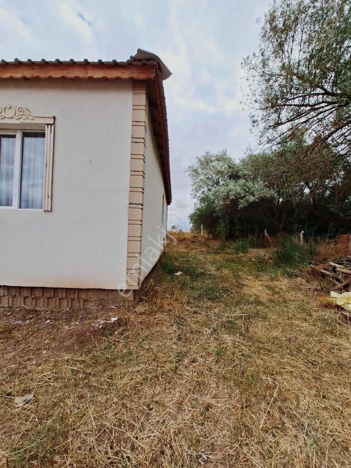 Harika Yatırımlık Geleceği Olan 50 Baş Mandıraya Uygun Elektrikli Kombi Isıtmalı Güzel Yer — fotoğraf 13