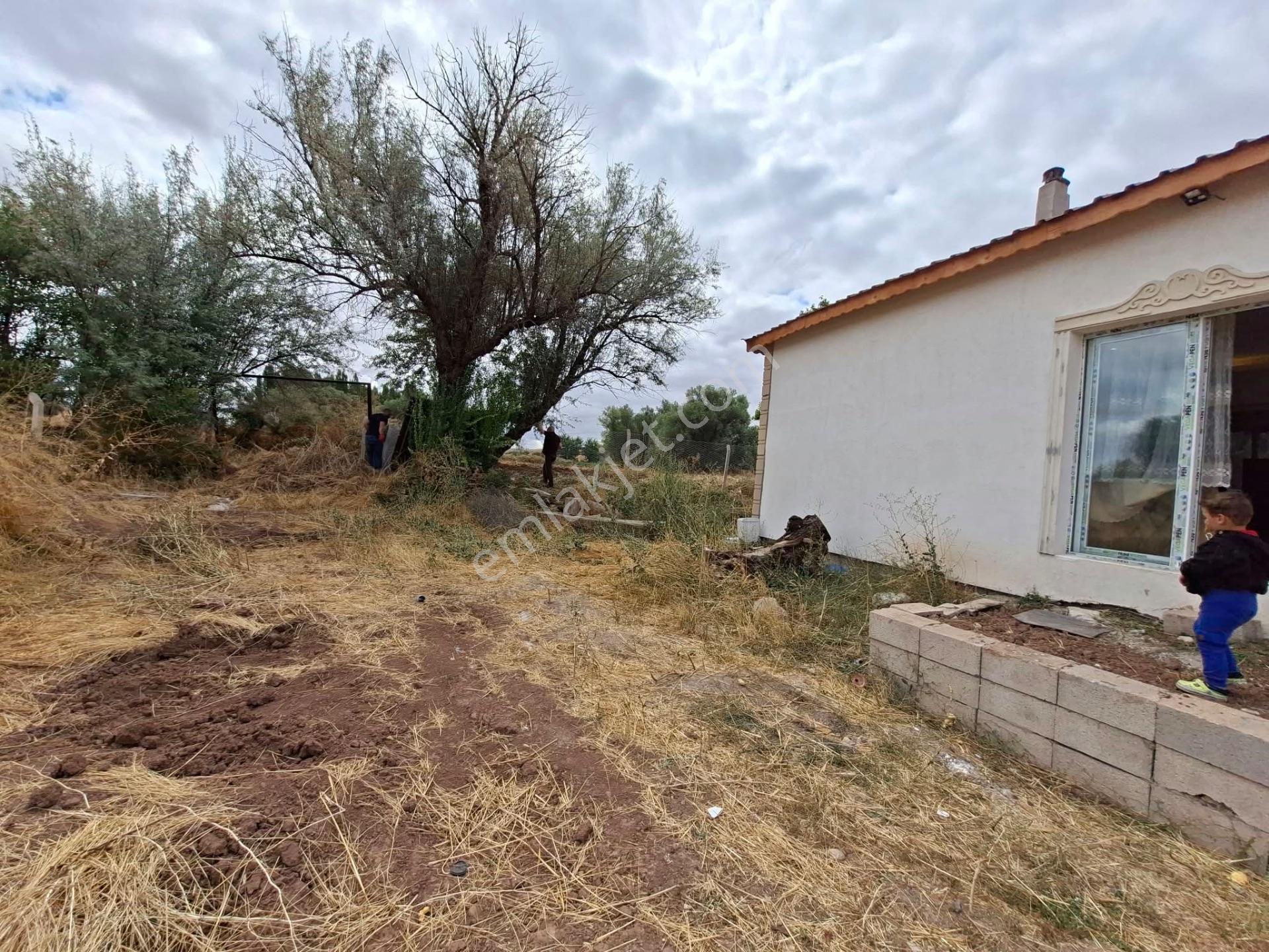 Harika Yatırımlık Geleceği Olan 50 Baş Mandıraya Uygun Elektrikli Kombi Isıtmalı Güzel Yer — fotoğraf 19