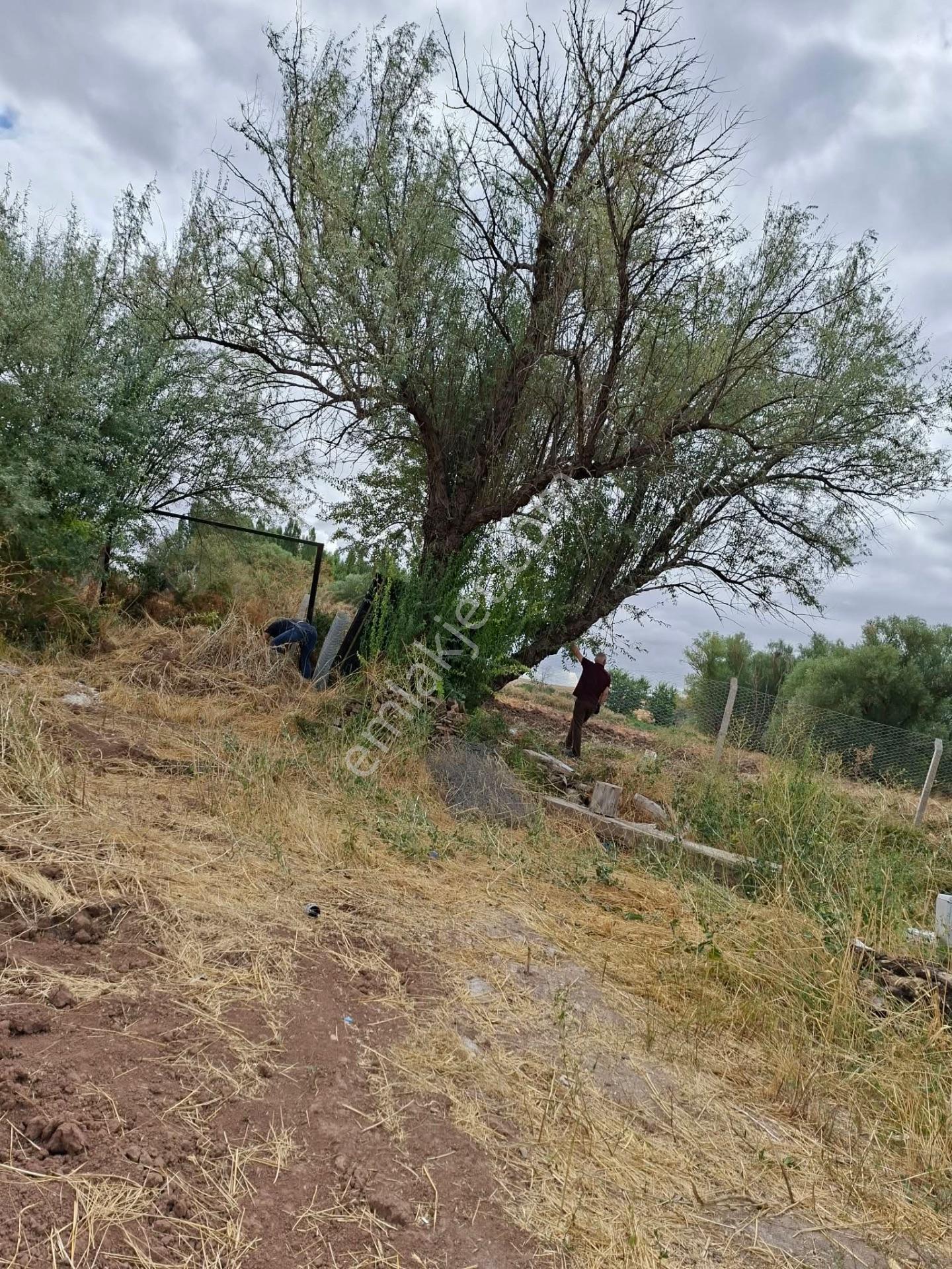 Harika Yatırımlık Geleceği Olan 50 Baş Mandıraya Uygun Elektrikli Kombi Isıtmalı Güzel Yer — fotoğraf 20