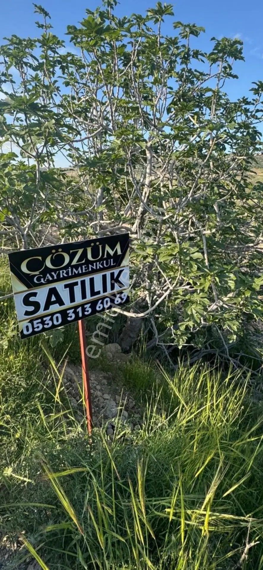 Çözüm Gayrimenkul Evladiyelik — fotoğraf 4