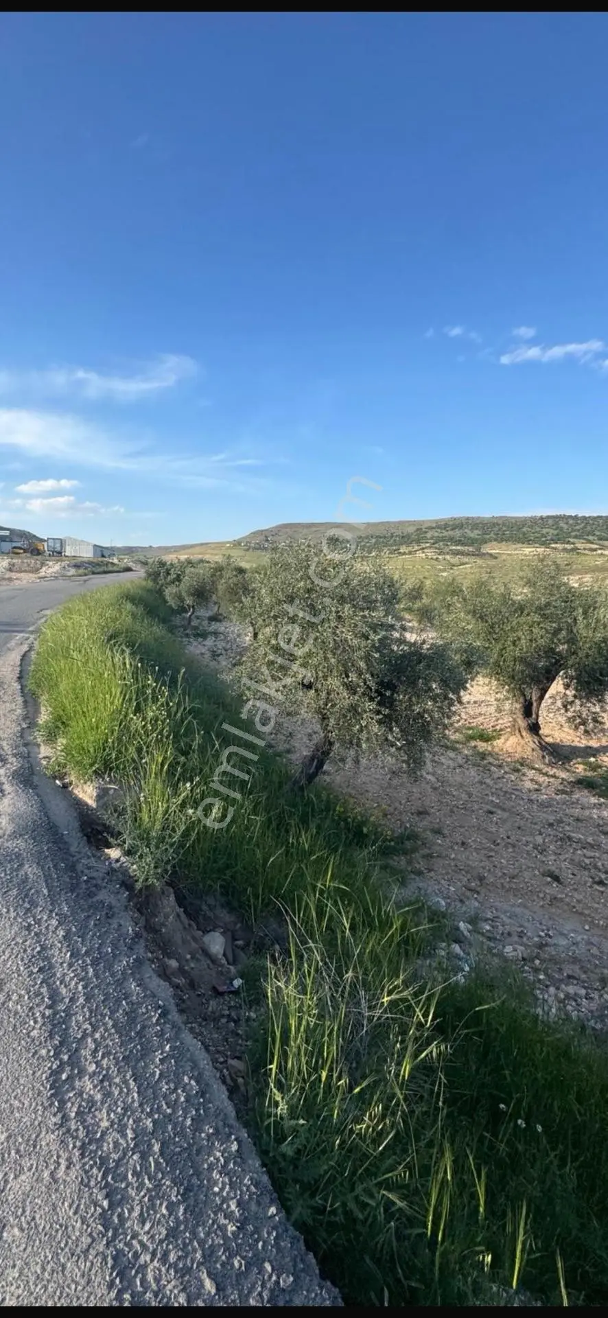 Çözüm Gayrimenkul Evladiyelik — fotoğraf 5