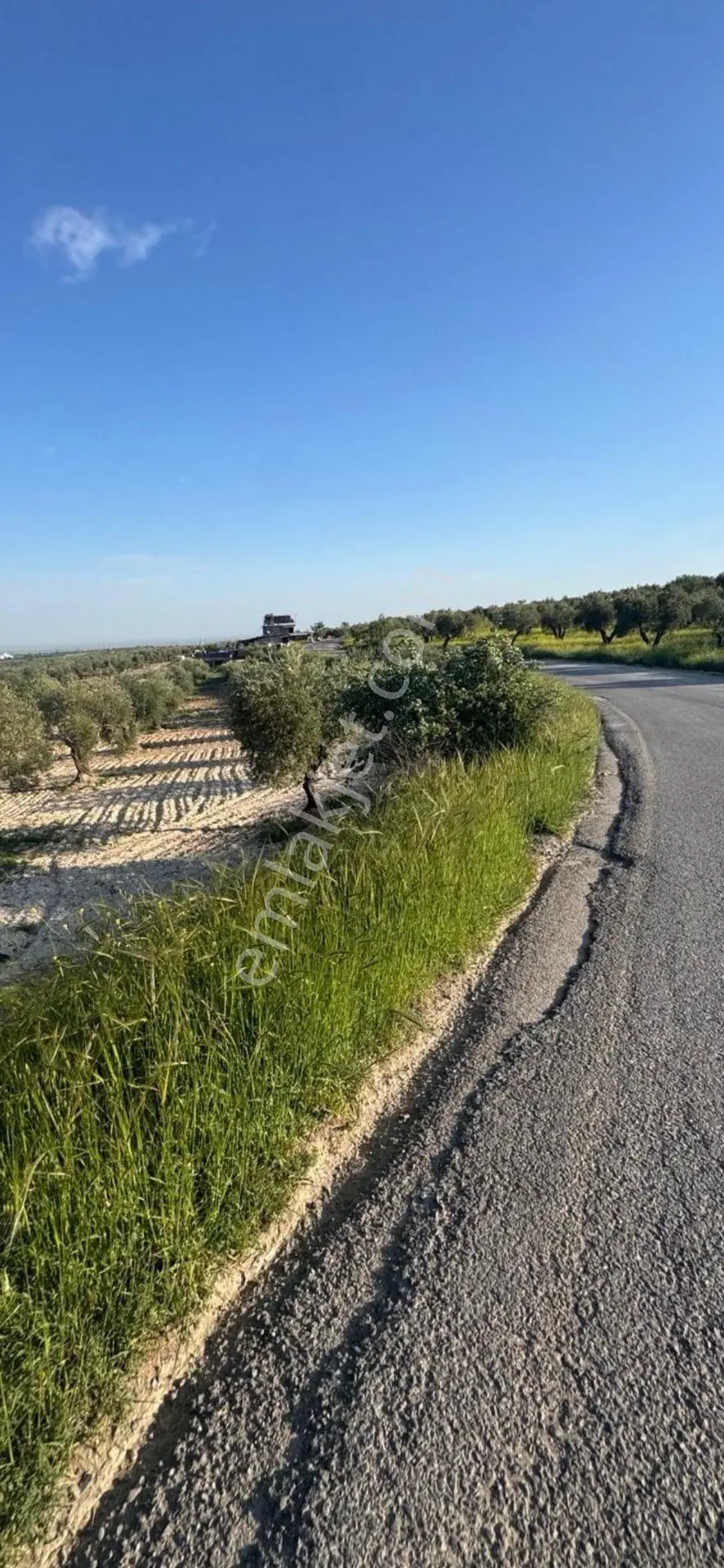 Çözüm Gayrimenkul Evladiyelik — fotoğraf 7