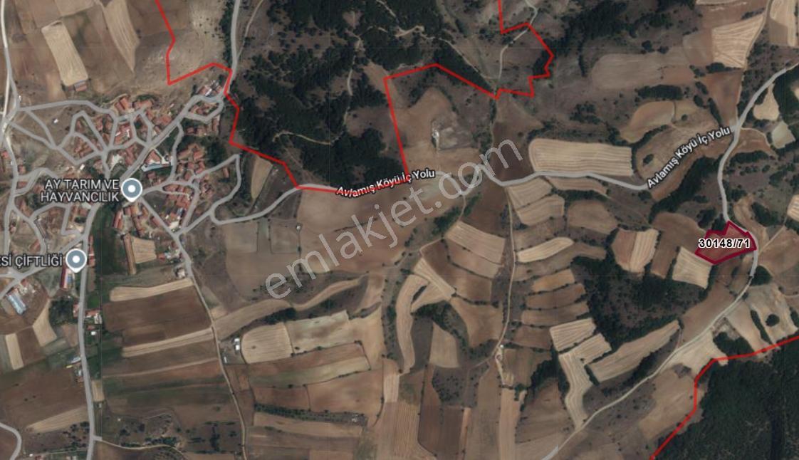 Dialog Dağ/avlamış Mh Yola Cepheli Etrafı Telle Çevrili Tarla — fotoğraf 7