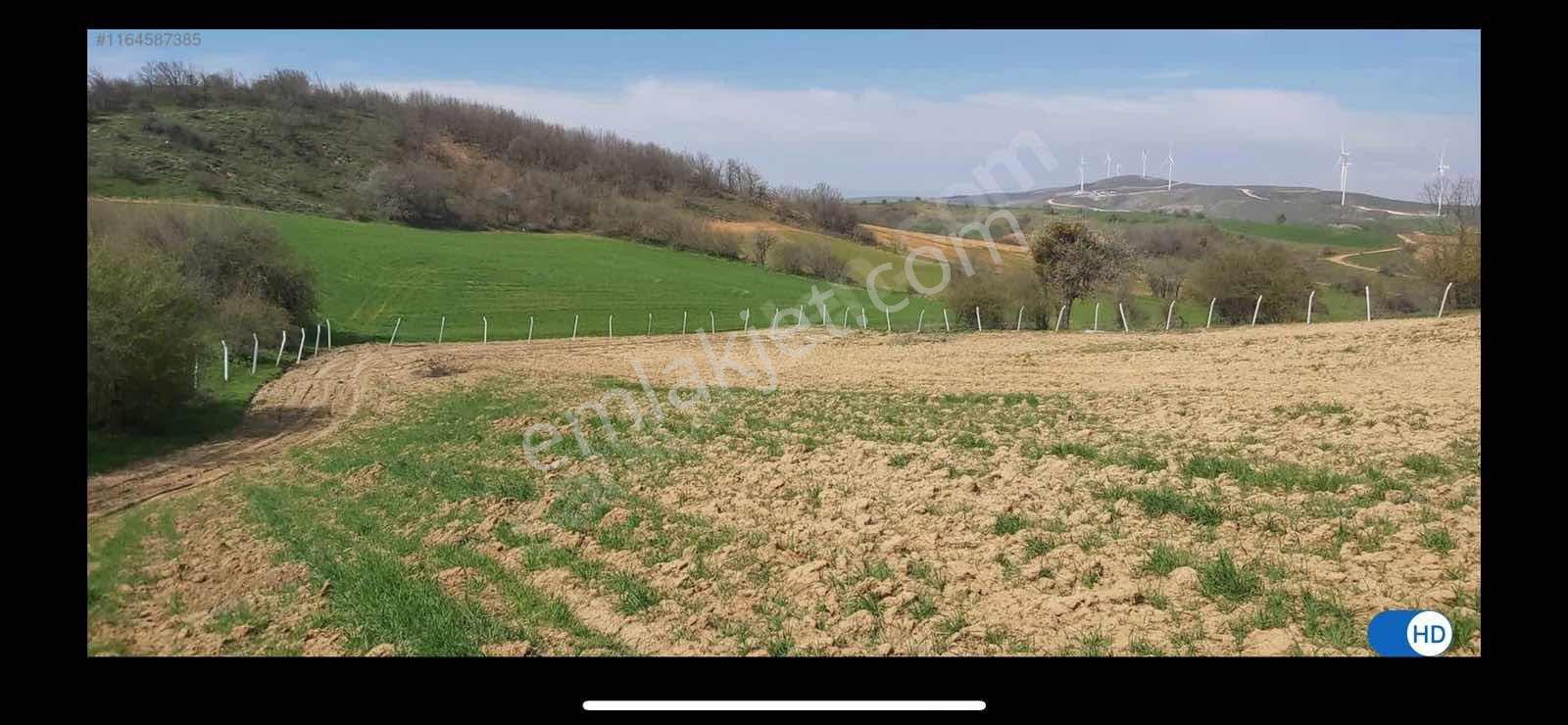 Dialog Dağ/avlamış Mh Yola Cepheli Etrafı Telle Çevrili Tarla — fotoğraf 15