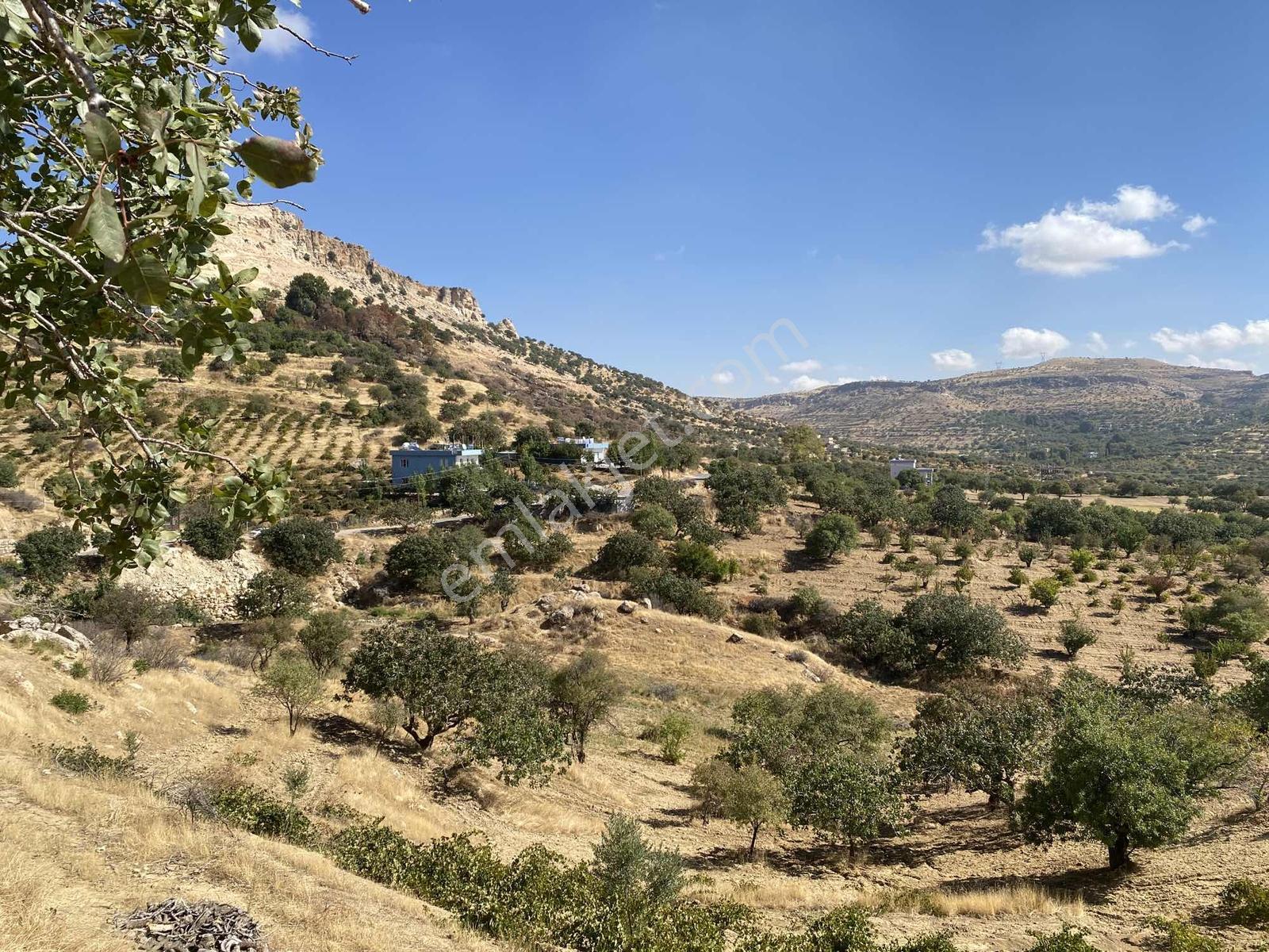 Müstakil Parsel Hipodrom Yanı 7400 M2 Fırsat Arazi — fotoğraf 2