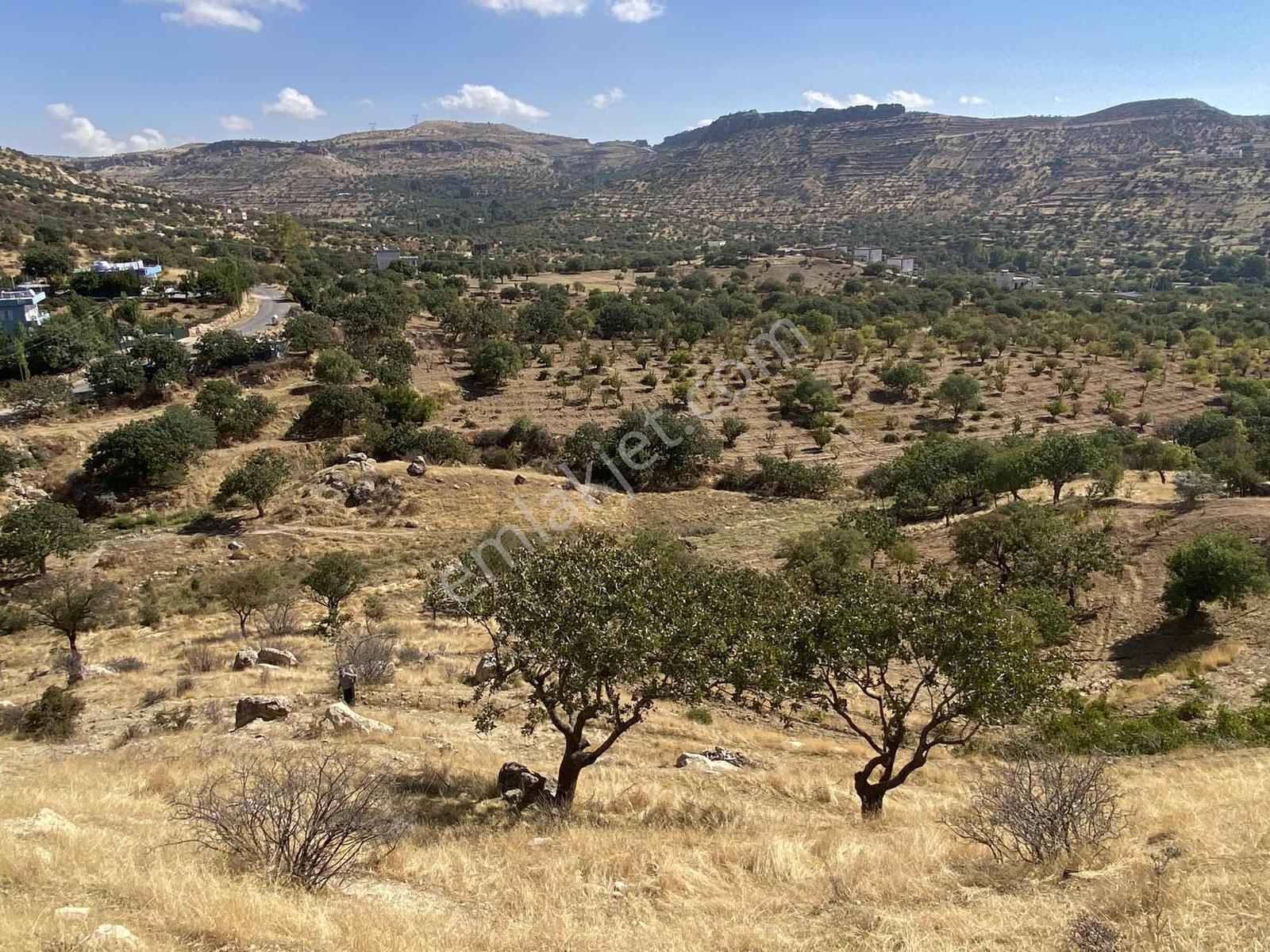 Müstakil Parsel Hipodrom Yanı 7400 M2 Fırsat Arazi — fotoğraf 5