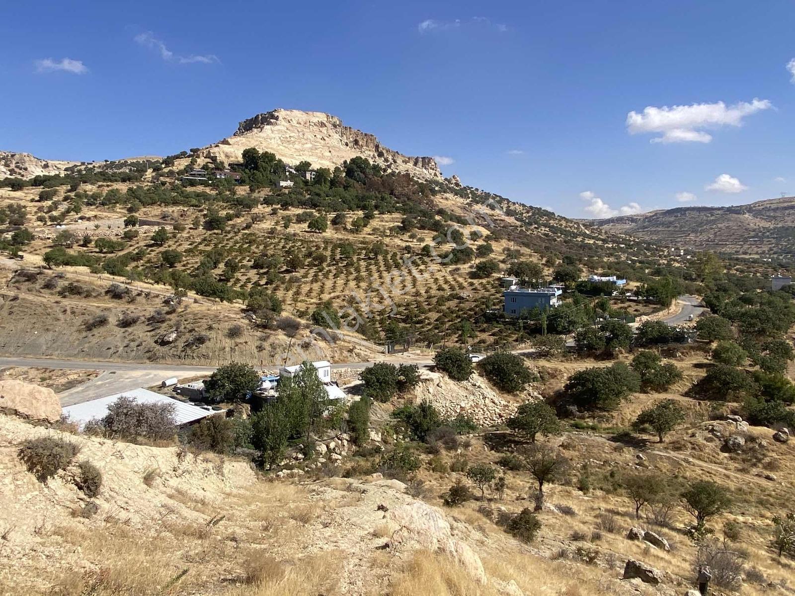Müstakil Parsel Hipodrom Yanı 7400 M2 Fırsat Arazi — fotoğraf 6