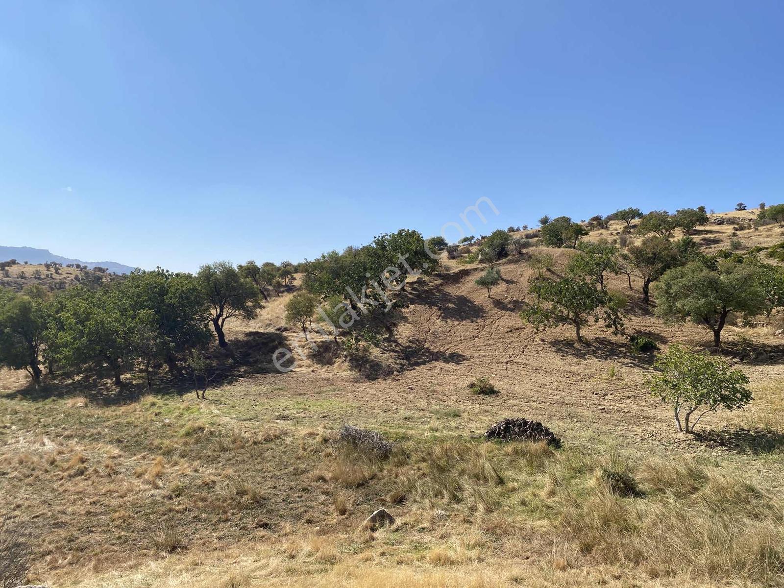 Müstakil Parsel Hipodrom Yanı 7400 M2 Fırsat Arazi — fotoğraf 8