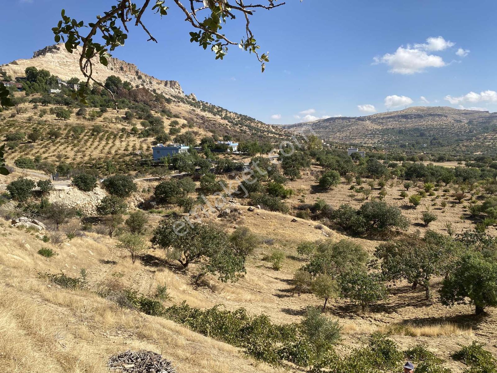 Müstakil Parsel Hipodrom Yanı 7400 M2 Fırsat Arazi — fotoğraf 14