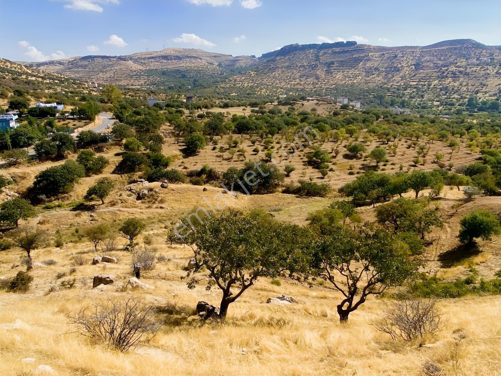 Müstakil Parsel Hipodrom Yanı 7400 M2 Fırsat Arazi — fotoğraf 15