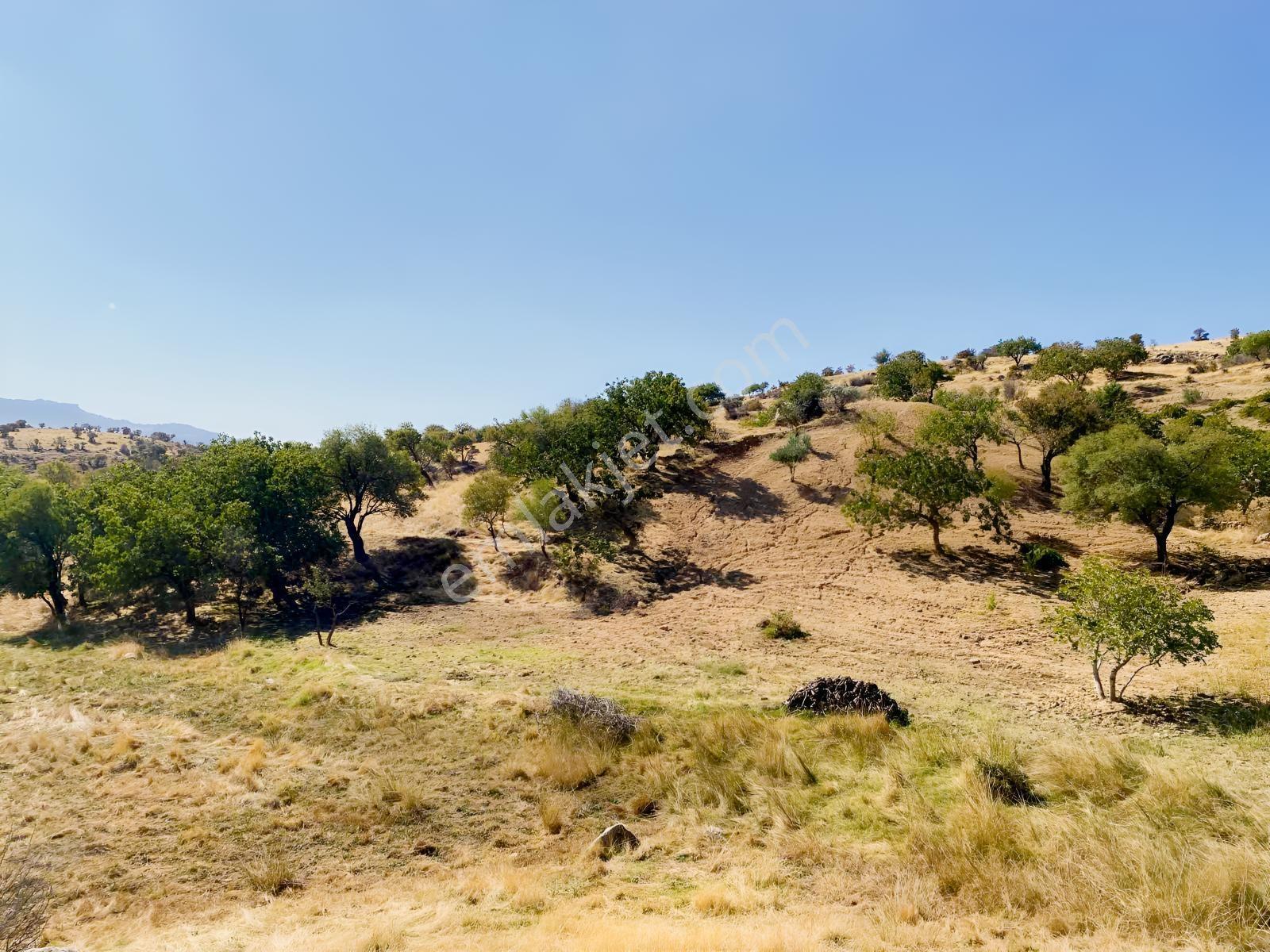 Müstakil Parsel Hipodrom Yanı 7400 M2 Fırsat Arazi — fotoğraf 18