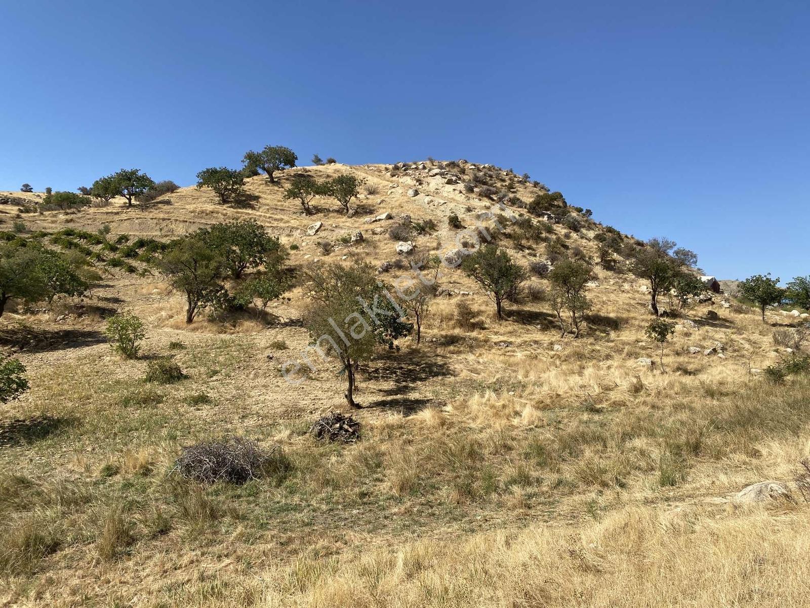 Müstakil Parsel Hipodrom Yanı 7400 M2 Fırsat Arazi — fotoğraf 19