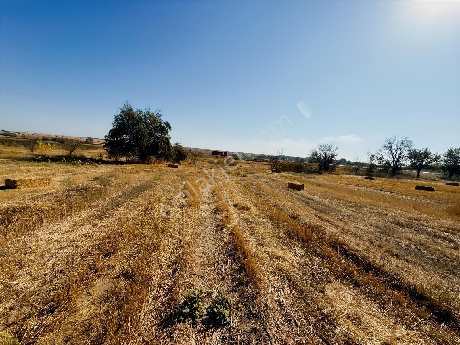 Edirne Havsa Bakışlarda Ana Caddeye Yakın Bahçelik — fotoğraf 8