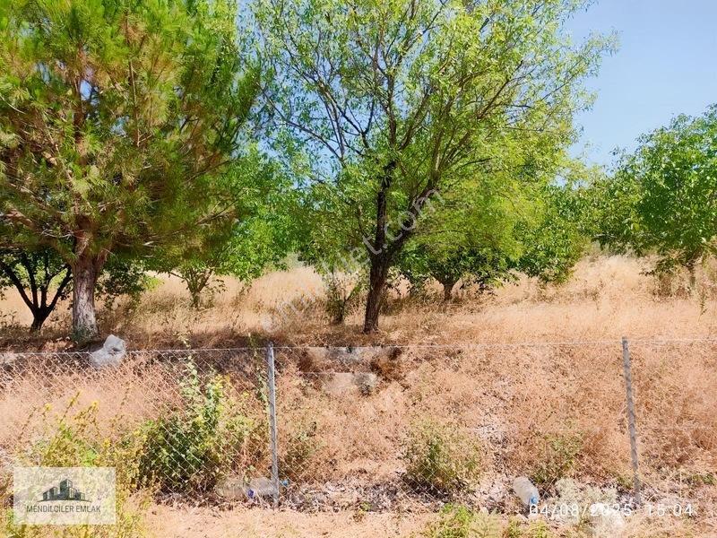 Çanakkale Merkez Sarıbeylide Baraja Komşu Satılık 2.401m2 Tarla — fotoğraf 13