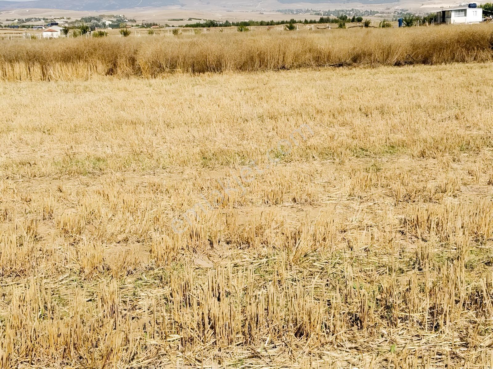 Durmaz Gayrimenkul'den Sakintepe'de 6.776 M2 Tarla — fotoğraf 2