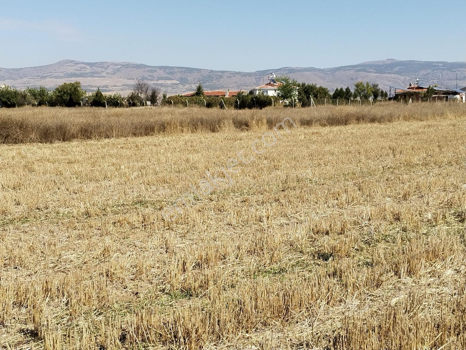 Durmaz Gayrimenkul'den Sakintepe'de 6.776 M2 Tarla — fotoğraf 3