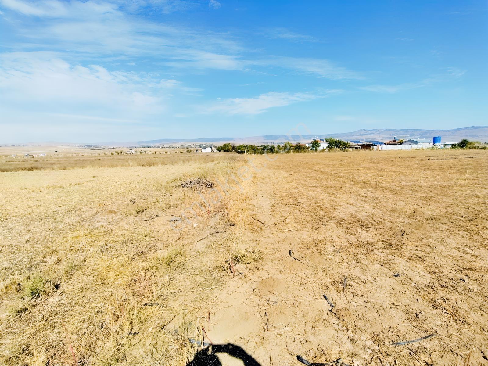 Durmaz Gayrimenkul'den Sakintepe'de 6.776 M2 Tarla — fotoğraf 5