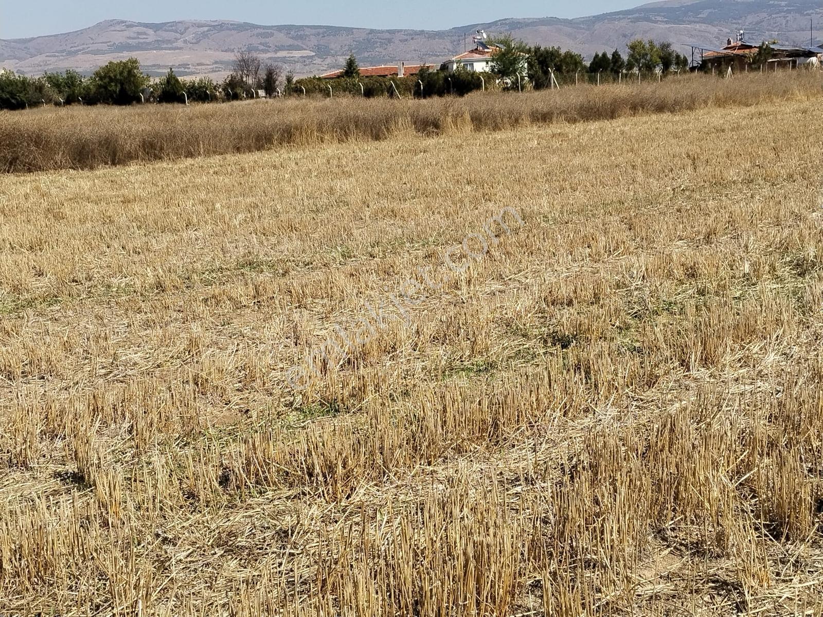 Durmaz Gayrimenkul'den Sakintepe'de 6.776 M2 Tarla — fotoğraf 11