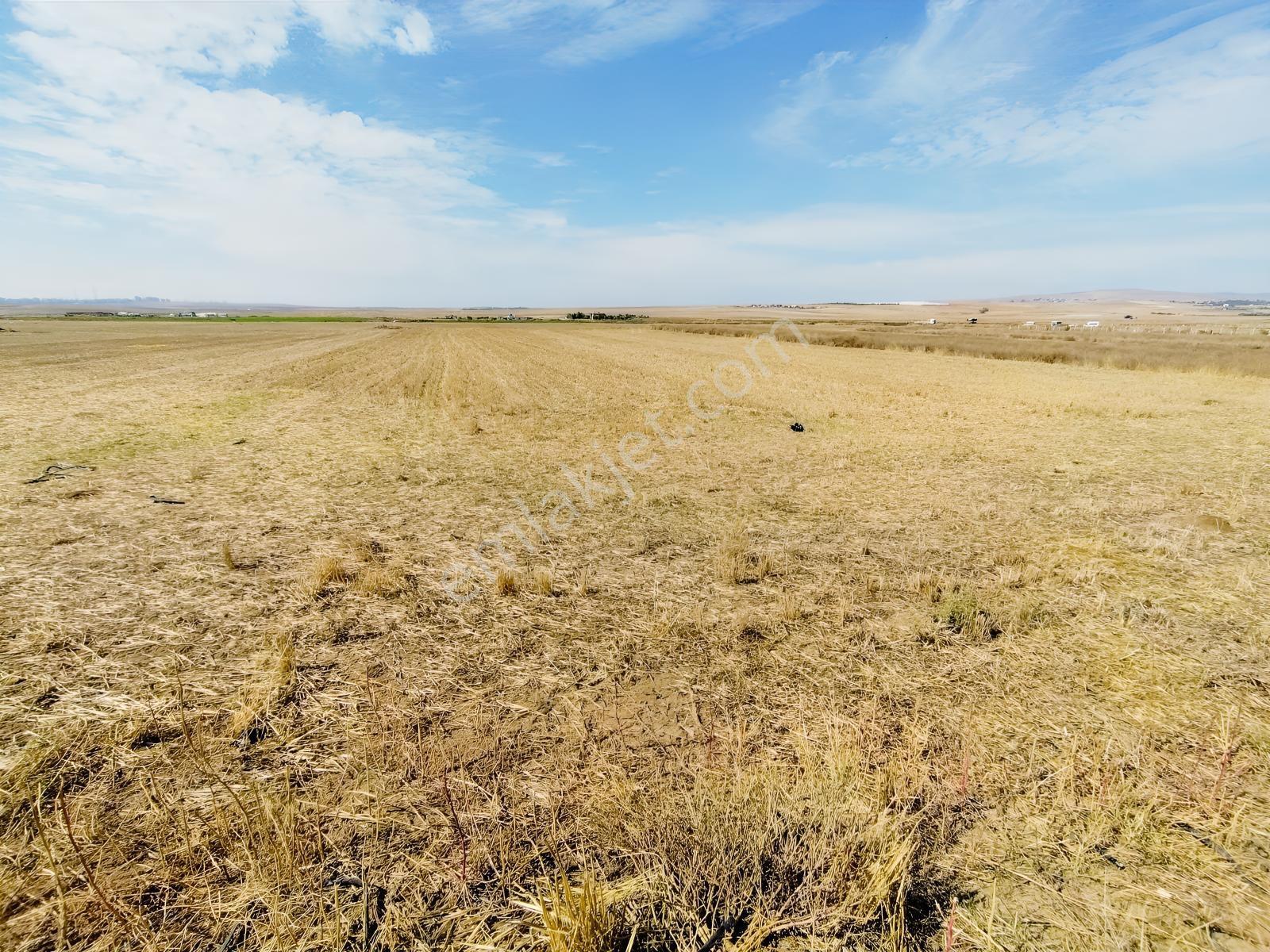 Durmaz Gayrimenkul'den Sakintepe'de 6.776 M2 Tarla — fotoğraf 12