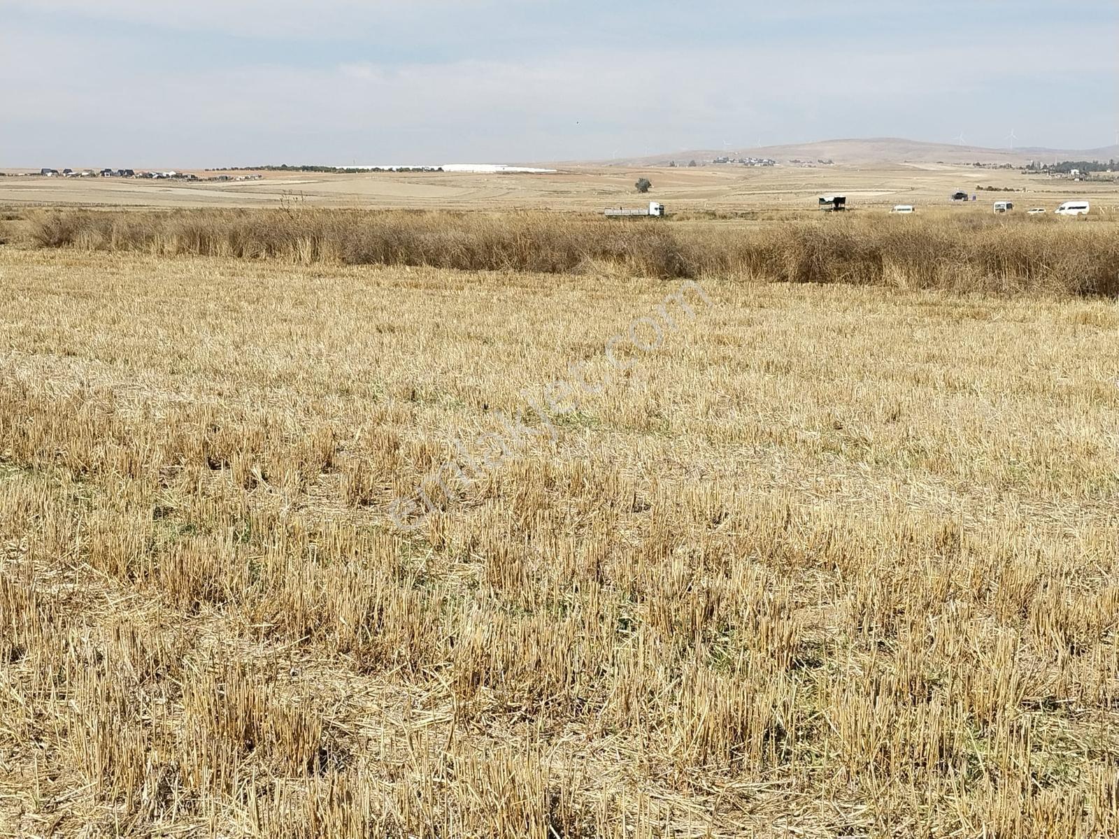 Durmaz Gayrimenkul'den Sakintepe'de 6.776 M2 Tarla — fotoğraf 13