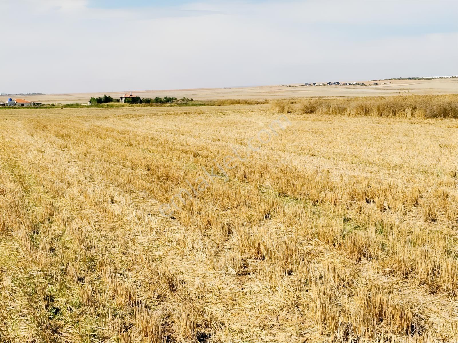 Durmaz Gayrimenkul'den Sakintepe'de 6.776 M2 Tarla — fotoğraf 14