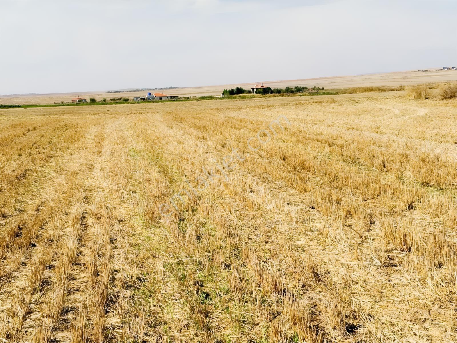 Durmaz Gayrimenkul'den Sakintepe'de 6.776 M2 Tarla — fotoğraf 15