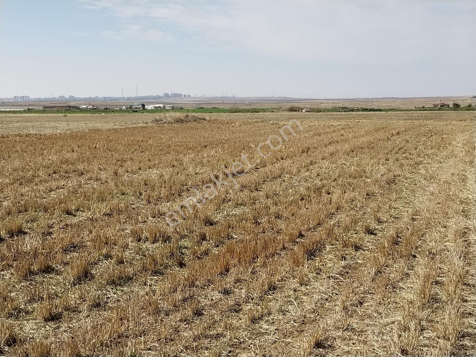Durmaz Gayrimenkul'den Sakintepe'de 6.776 M2 Tarla — fotoğraf 16