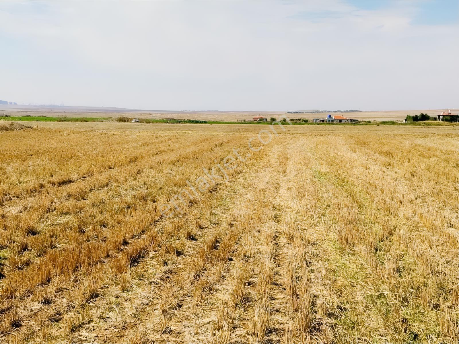 Durmaz Gayrimenkul'den Sakintepe'de 6.776 M2 Tarla — fotoğraf 17