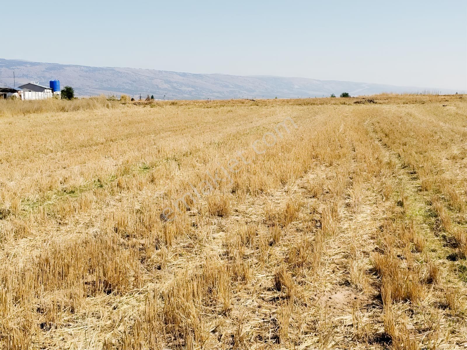 Durmaz Gayrimenkul'den Sakintepe'de 6.776 M2 Tarla — fotoğraf 23