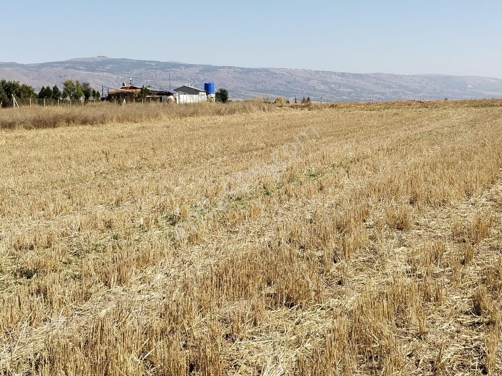 Durmaz Gayrimenkul'den Sakintepe'de 6.776 M2 Tarla — fotoğraf 24