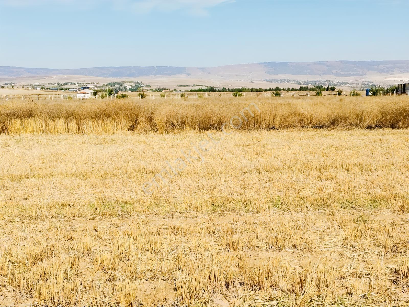 Durmaz Gayrimenkul'den Sakintepe'de 6.776 M2 Tarla — fotoğraf 25