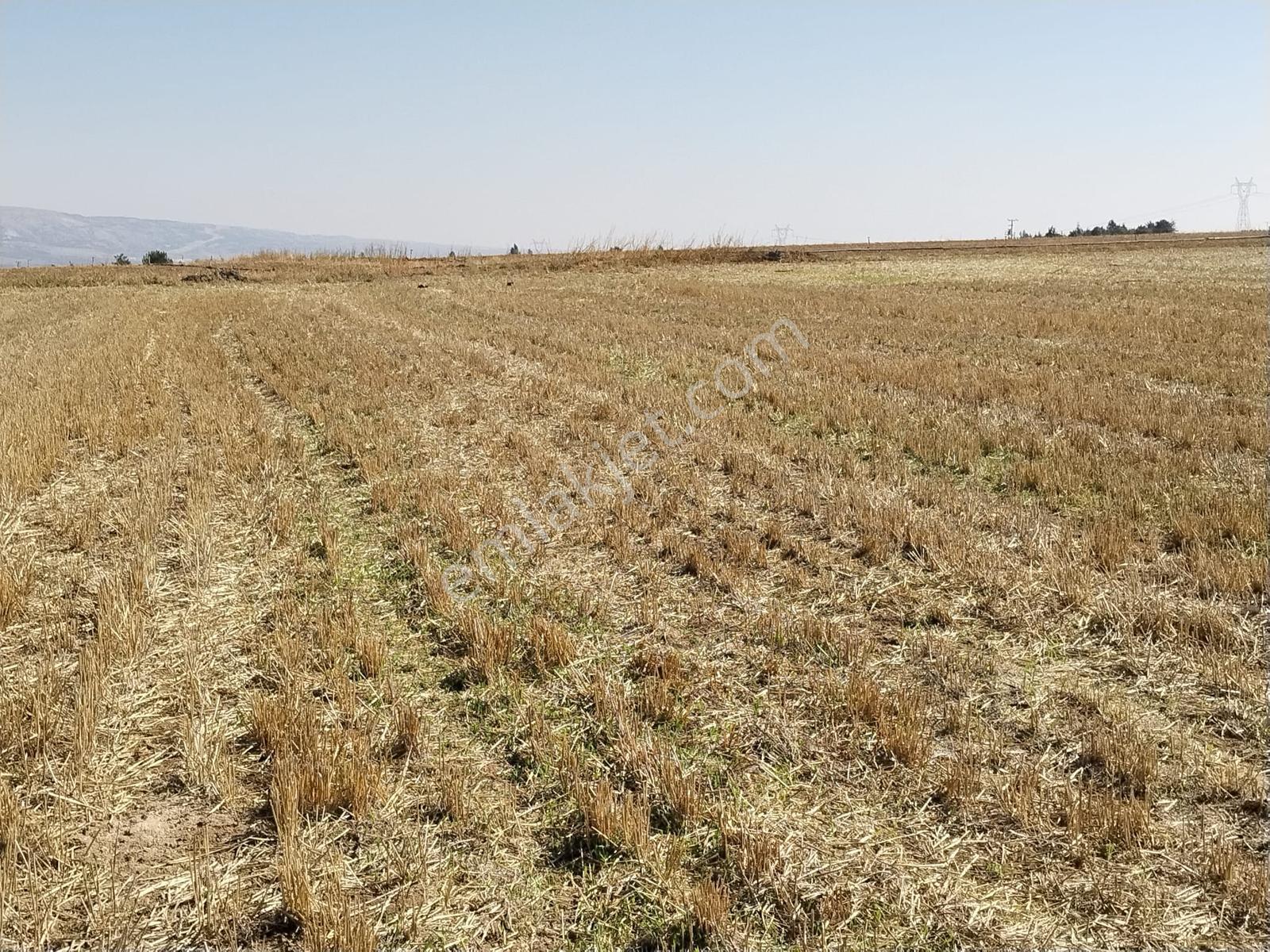 Durmaz Gayrimenkul'den Sakintepe'de 6.776 M2 Tarla — fotoğraf 26