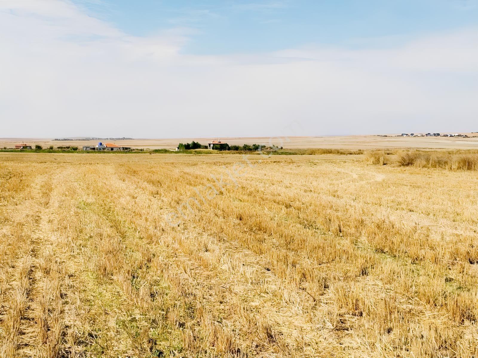 Durmaz Gayrimenkul'den Sakintepe'de 6.776 M2 Tarla — fotoğraf 28