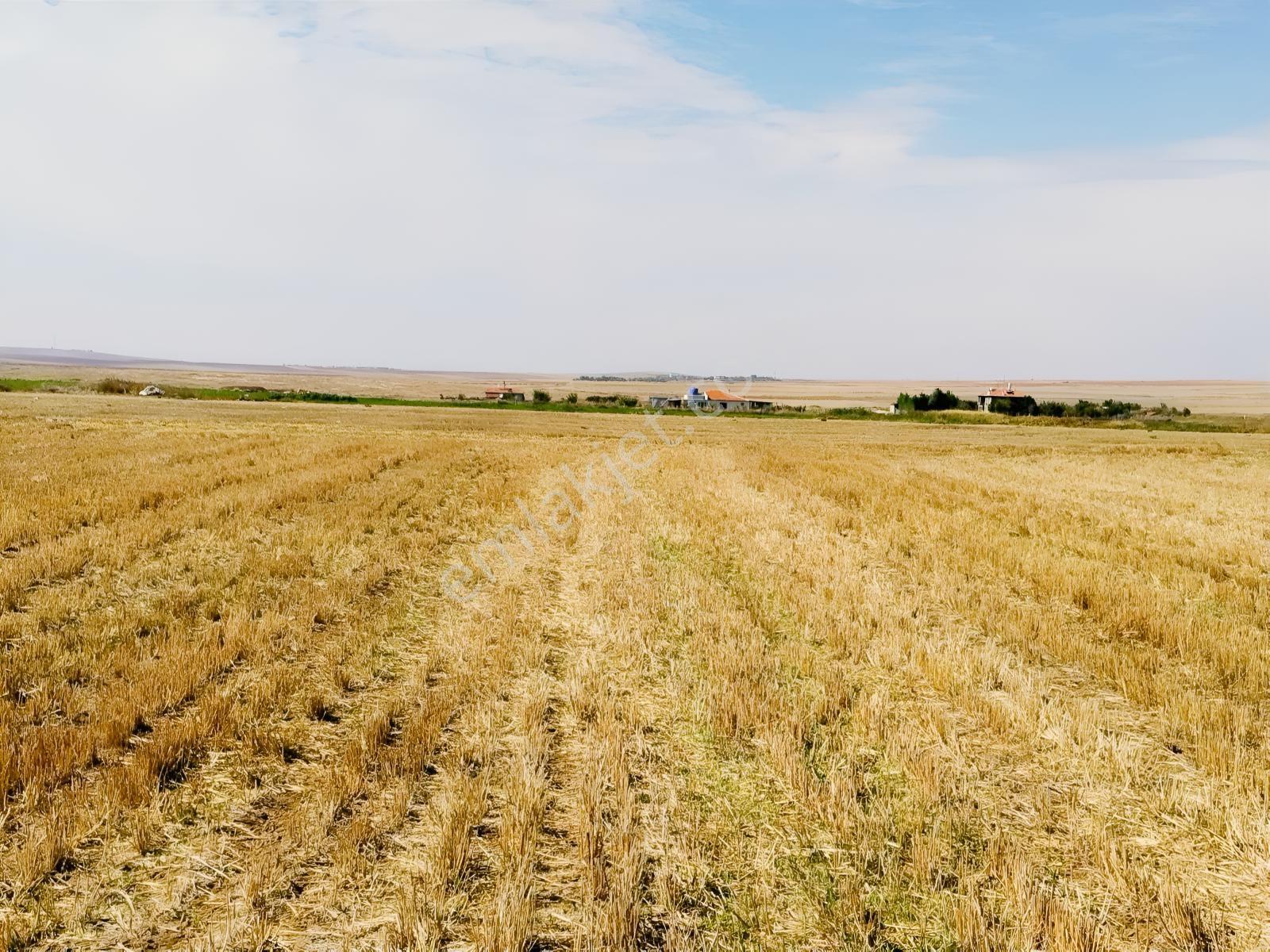 Durmaz Gayrimenkul'den Sakintepe'de 6.776 M2 Tarla — fotoğraf 29