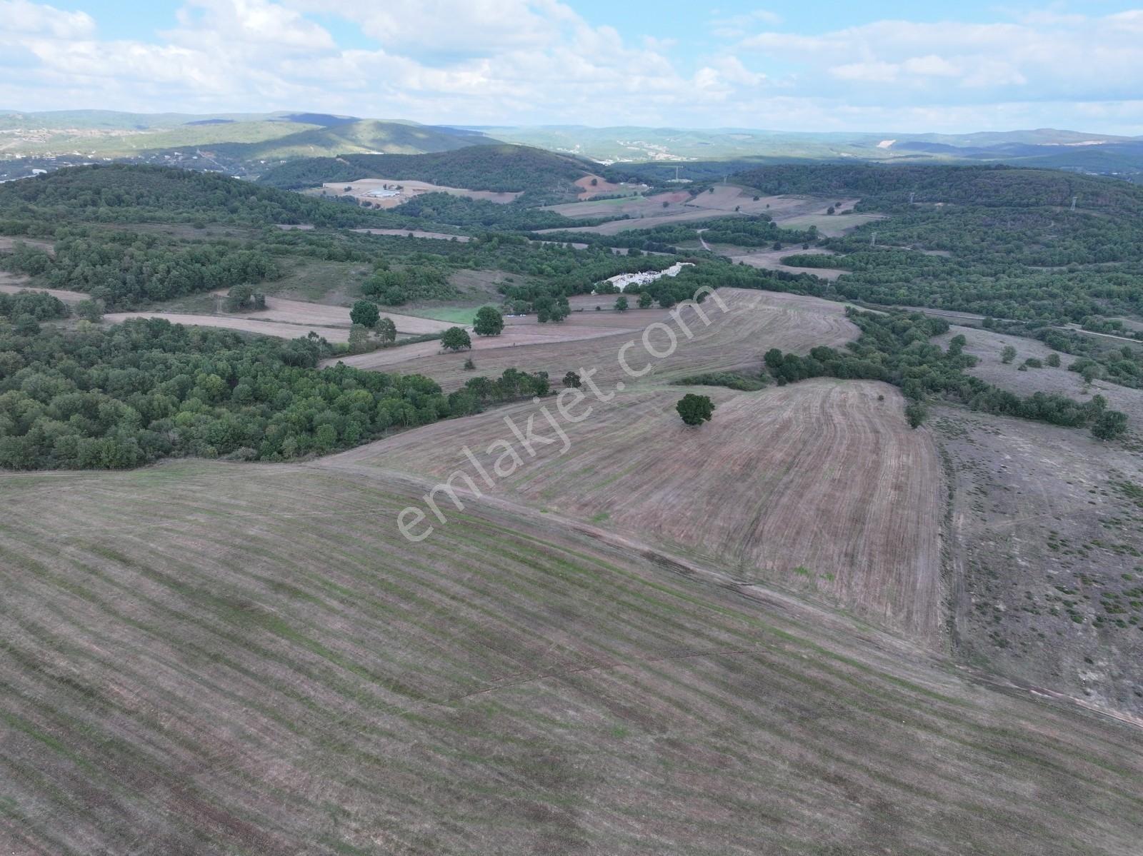 Rens'ten Sanayiye Ve Villa Parsellerine Komşu Yatırımlık Tarla — fotoğraf 4