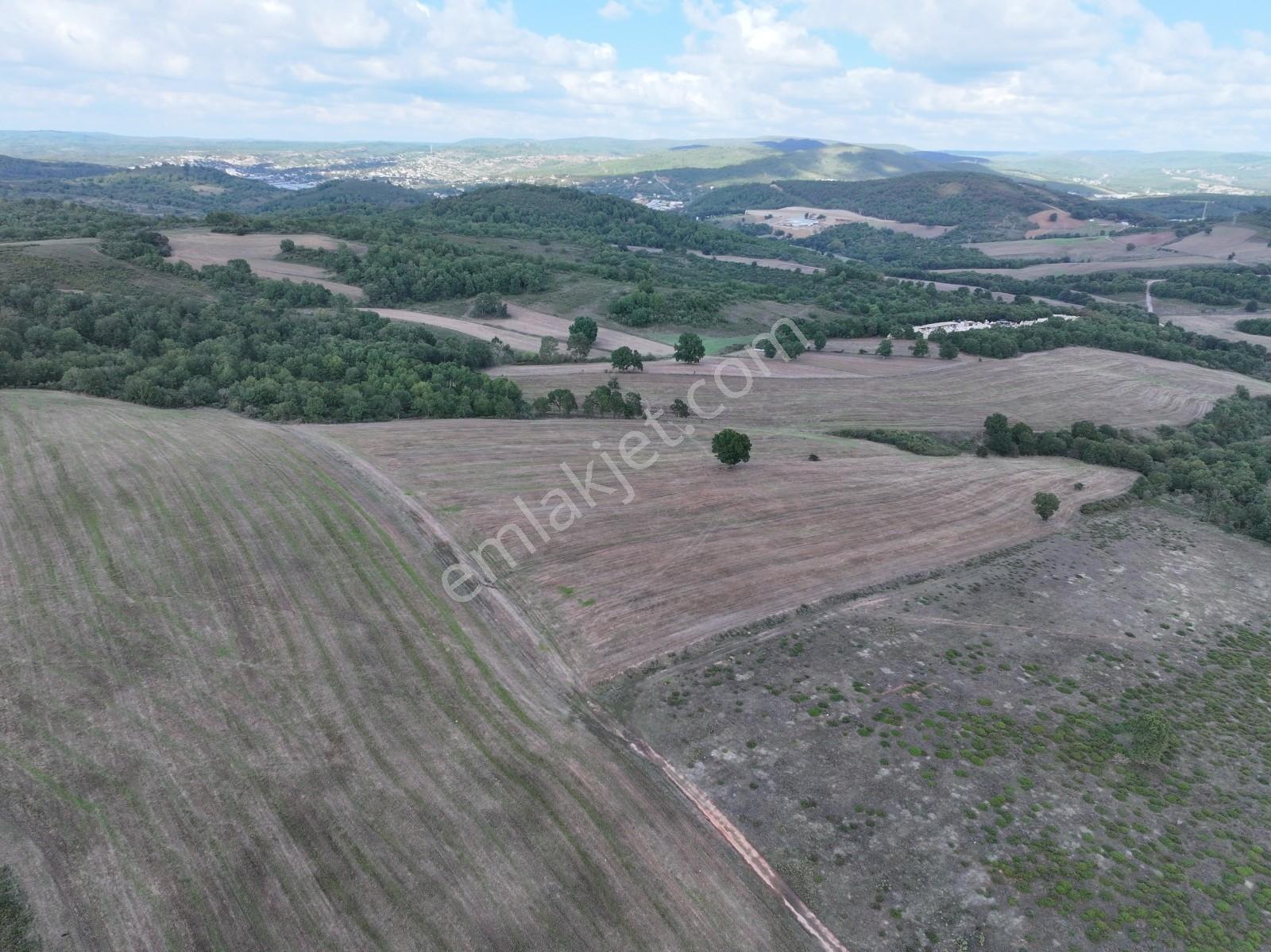Rens'ten Sanayiye Ve Villa Parsellerine Komşu Yatırımlık Tarla — fotoğraf 10
