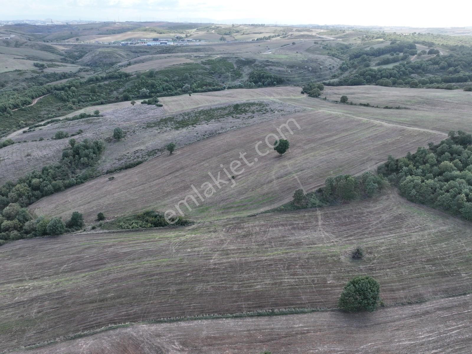 Rens'ten Sanayiye Ve Villa Parsellerine Komşu Yatırımlık Tarla — fotoğraf 11