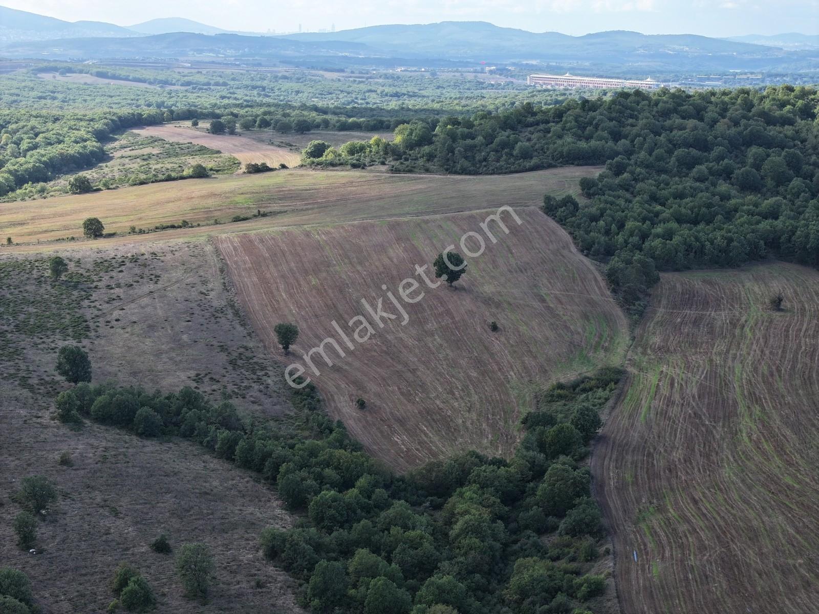 Rens'ten Sanayiye Ve Villa Parsellerine Komşu Yatırımlık Tarla — fotoğraf 12