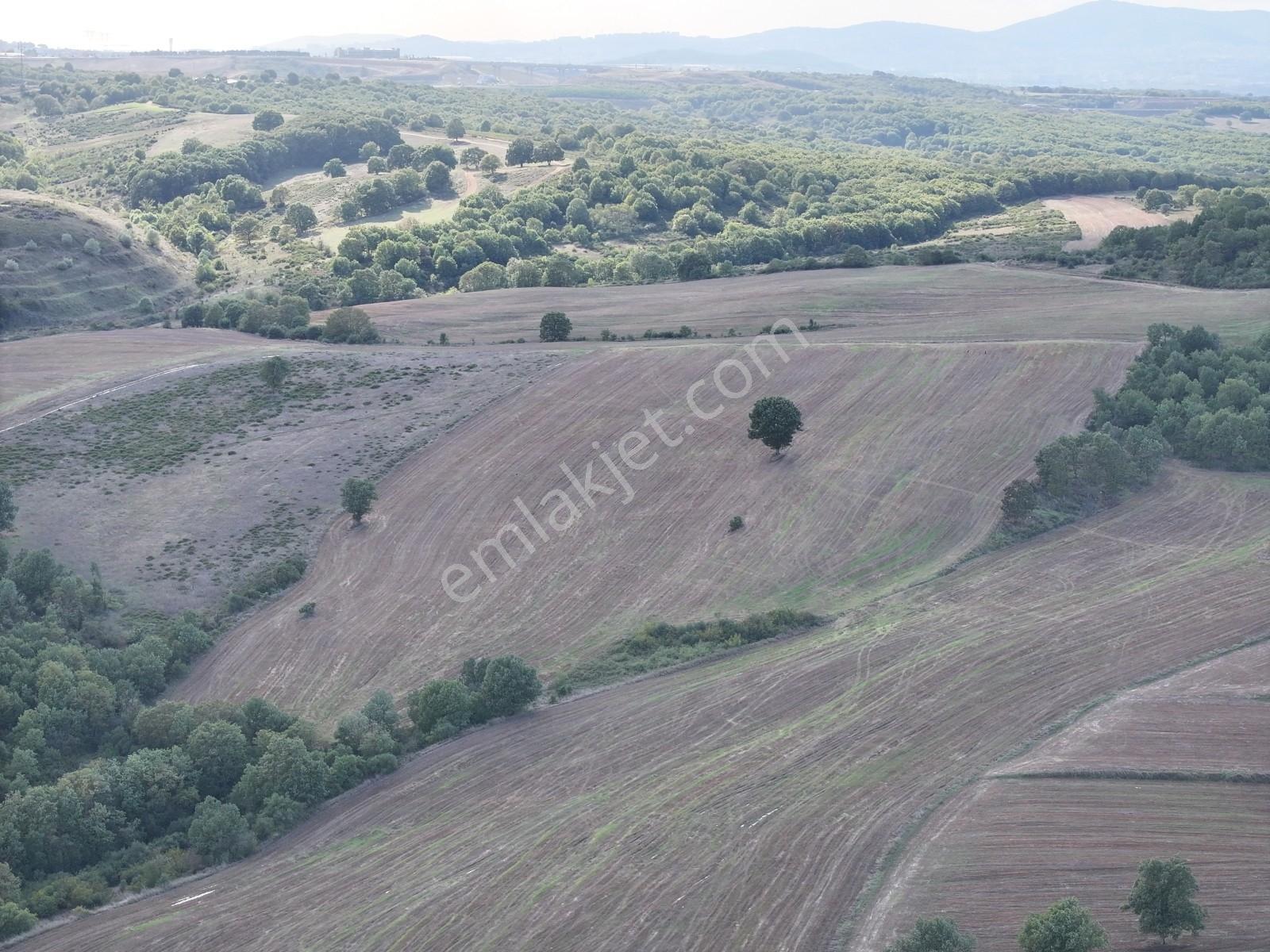 Rens'ten Sanayiye Ve Villa Parsellerine Komşu Yatırımlık Tarla — fotoğraf 14