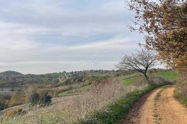 Biga Çeltik'te 11.700 M² Müstakil Büyük Metrajlı Satılık Tarla — fotoğraf 4