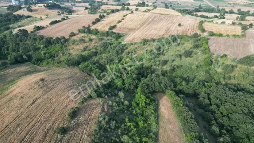Biga Çeltik'te 11.700 M² Müstakil Büyük Metrajlı Satılık Tarla — fotoğraf 5