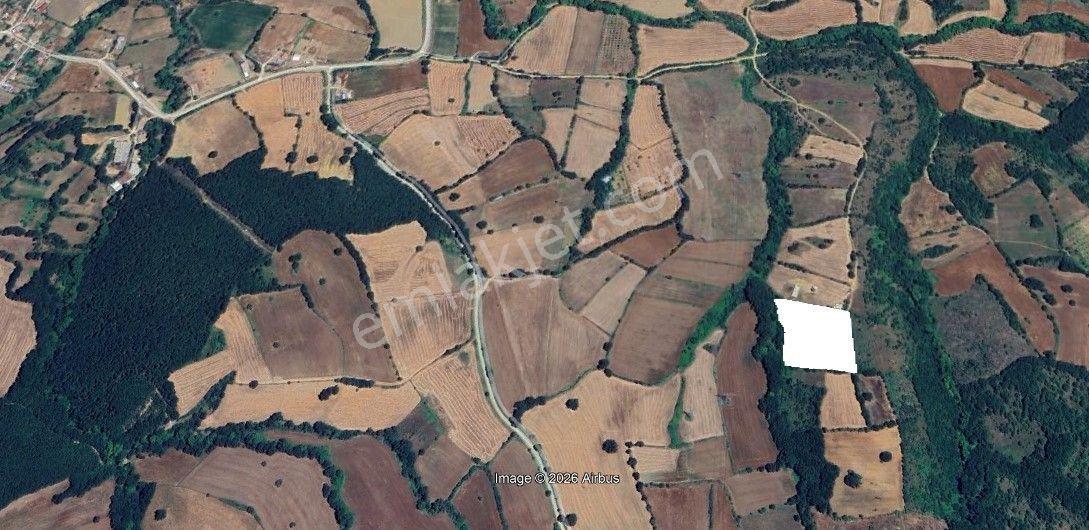 Biga Çeltik'te 11.700 M² Müstakil Büyük Metrajlı Satılık Tarla — fotoğraf 9