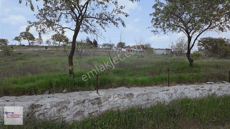 Hazır Projeli Müstakil Tapulu Arsalar — fotoğraf 4