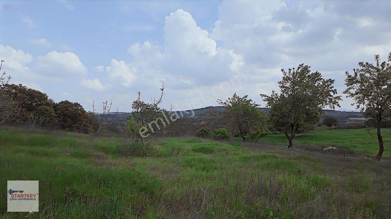 Hazır Projeli Müstakil Tapulu Arsalar — fotoğraf 6