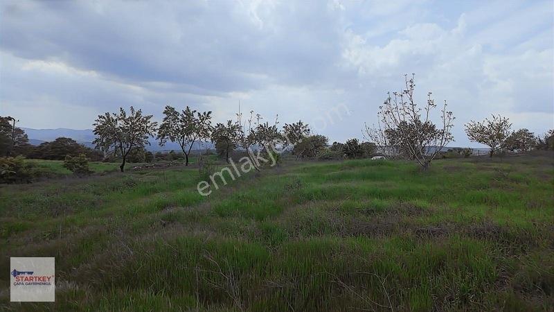 Hazır Projeli Müstakil Tapulu Arsalar — fotoğraf 7