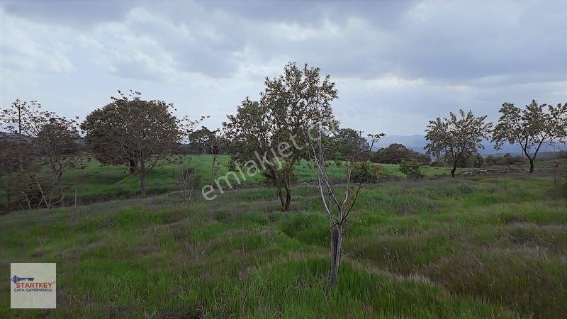 Hazır Projeli Müstakil Tapulu Arsalar — fotoğraf 8