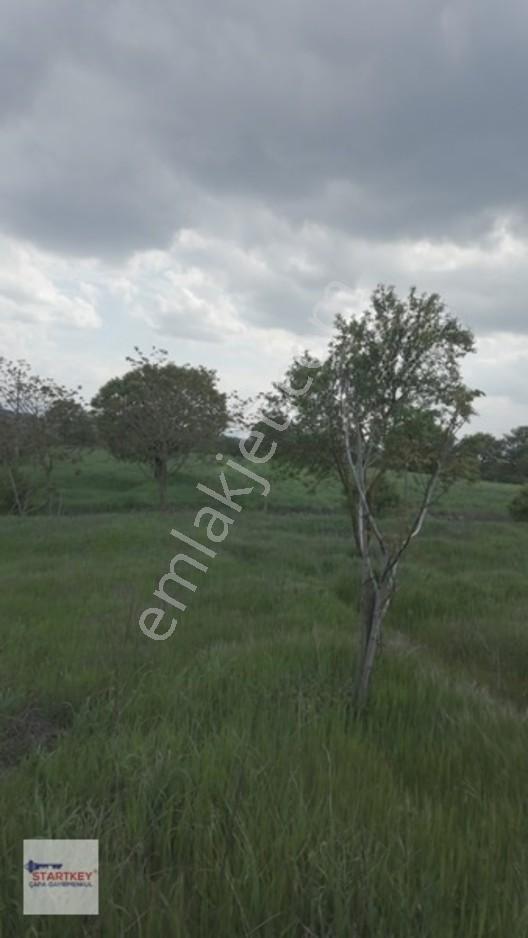 Hazır Projeli Müstakil Tapulu Arsalar — fotoğraf 23